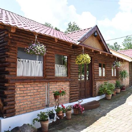 Panorama Lomnica Bed and Breakfast Despotovac Exteriör bild