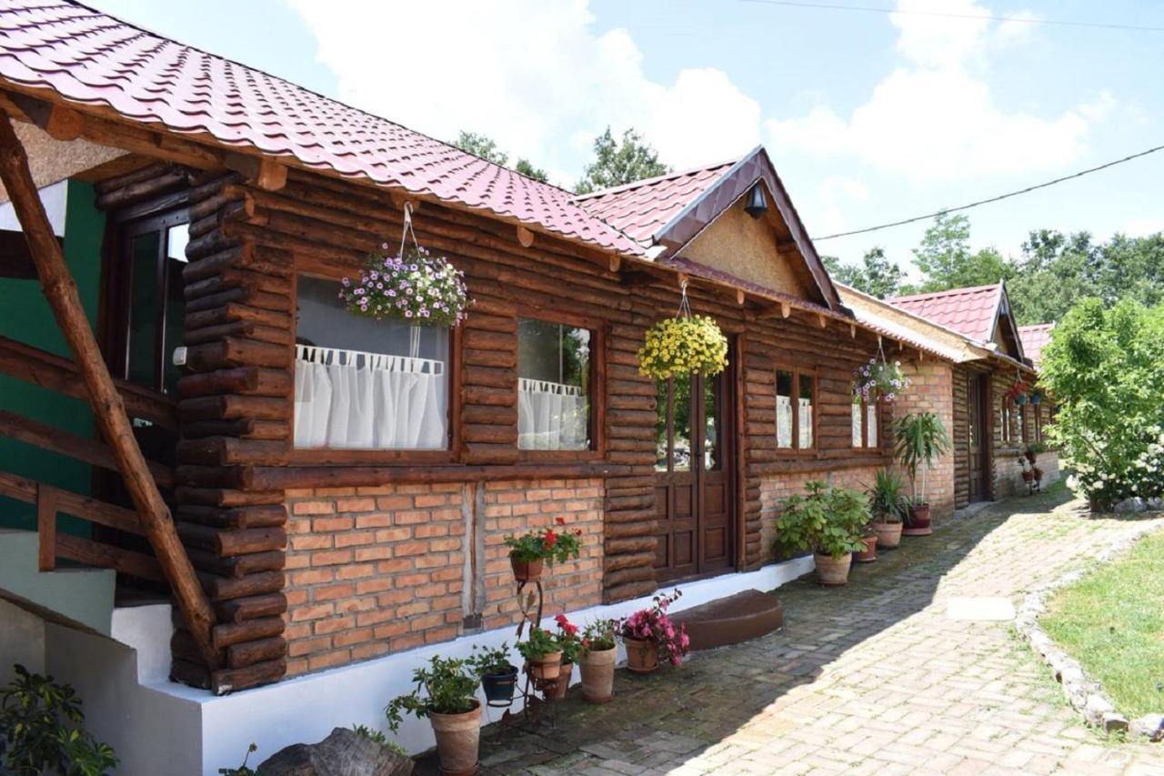 Panorama Lomnica Bed and Breakfast Despotovac Exteriör bild